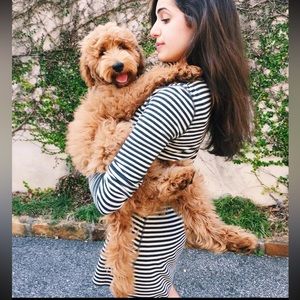 Calypso St. Barths striped dress